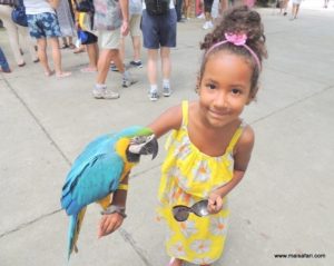 Colombia 2 (Trip To Mud Volcano In Colombia, South America, Dec 06.2012)