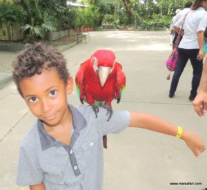 Colombia 2 (Trip To Mud Volcano In Colombia, South America, Dec 06.2012)