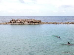 Jamaica 2012 (Arriving In Falmouth, Jamaica @ MSC Poesia Cruise Ship, Day 8. Dec, 10.2012)