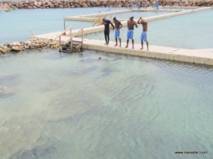 Dolphin Cove (@Dolphin Cove Jamaica. MSC Poesia Cruise Ship Day 8. Dec, 10.2012)