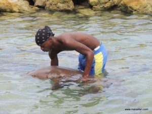 Dolphin Cove (@Dolphin Cove Jamaica. MSC Poesia Cruise Ship Day 8. Dec, 10.2012)
