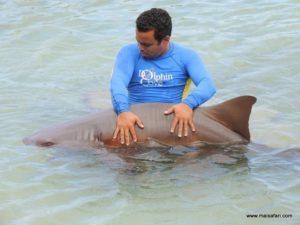 Dolphin Cove (@Dolphin Cove Jamaica. MSC Poesia Cruise Ship Day 8. Dec, 10.2012)