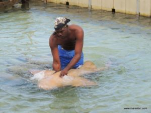 Dolphin Cove (@Dolphin Cove Jamaica. MSC Poesia Cruise Ship Day 8. Dec, 10.2012)