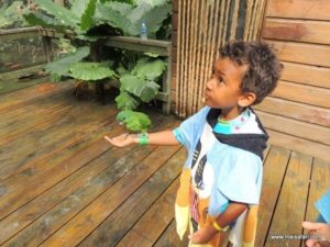 Dolphin Cove (@Dolphin Cove Jamaica. MSC Poesia Cruise Ship Day 8. Dec, 10.2012)