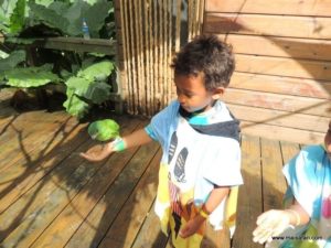 Dolphin Cove (@Dolphin Cove Jamaica. MSC Poesia Cruise Ship Day 8. Dec, 10.2012)