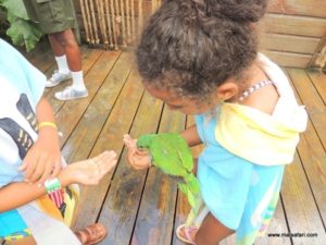 Dolphin Cove (@Dolphin Cove Jamaica. MSC Poesia Cruise Ship Day 8. Dec, 10.2012)