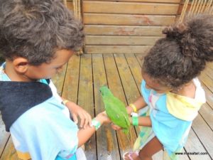 Dolphin Cove (@Dolphin Cove Jamaica. MSC Poesia Cruise Ship Day 8. Dec, 10.2012)