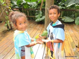 Dolphin Cave Jamaica (@Dolphin Cove Jamaica. MSC Poesia Cruise Ship Day 8. Dec, 10.2012)