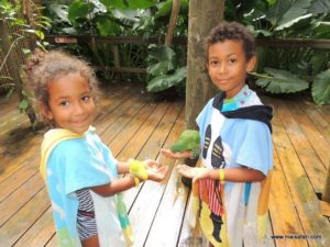 Dolphin Cove (@Dolphin Cove Jamaica. MSC Poesia Cruise Ship Day 8. Dec, 10.2012)