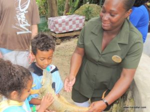 Dolphin Cove (@Dolphin Cove Jamaica. MSC Poesia Cruise Ship Day 8. Dec, 10.2012)