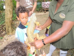 Dolphin Cove (@Dolphin Cove Jamaica. MSC Poesia Cruise Ship Day 8. Dec, 10.2012)