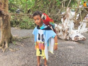 Dolphin Cove (@Dolphin Cove Jamaica. MSC Poesia Cruise Ship Day 8. Dec, 10.2012)