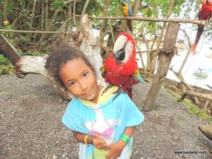 Dolphin Cove (@Dolphin Cove Jamaica. MSC Poesia Cruise Ship Day 8. Dec, 10.2012)