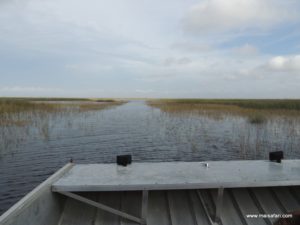 Fort Lauderdale (Everglades Air Boat @ Fort Lauderdale Florida USA Dec 11. 2012)