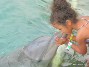 Dolphin Cove Jamaica (Kiss from a Dolphin @ Dolphin Cove In Jamaica, Dec 10. 2012)