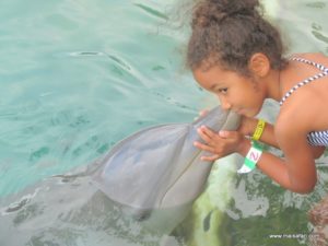 Dolphin Cove Jamaica (Kiss from a Dolphin @ Dolphin Cove In Jamaica, Dec 10. 2012)