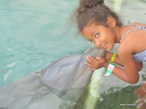 Dolphin Cove Jamaica (Kiss from a Dolphin @ Dolphin Cove In Jamaica, Dec 10. 2012)