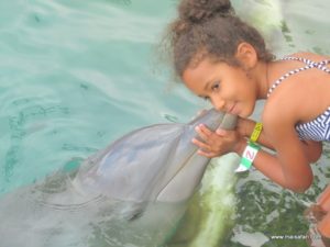 Dolphin Cove Jamaica (Kiss from a Dolphin @ Dolphin Cove In Jamaica, Dec 10. 2012)