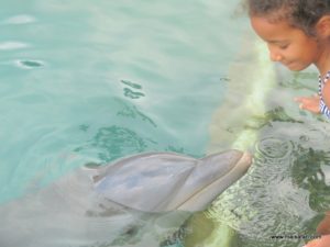 Dolphin Cove Jamaica (Kiss from a Dolphin @ Dolphin Cove In Jamaica, Dec 10. 2012)