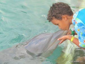 Dolphin Cove Jamaica (Kiss from a Dolphin @ Dolphin Cove In Jamaica, Dec 10. 2012)