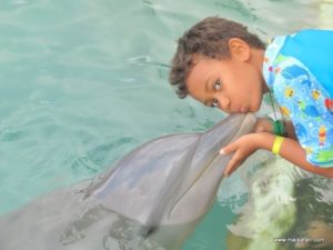 Dolphin Cove Jamaica (Kiss from a Dolphin @ Dolphin Cove In Jamaica, Dec 10. 2012)
