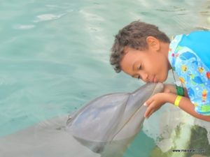 Dolphin Cove Jamaica (Kiss from a Dolphin @ Dolphin Cove In Jamaica, Dec 10. 2012)