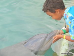 Dolphin Cove Jamaica (Kiss from a Dolphin @ Dolphin Cove In Jamaica, Dec 10. 2012)