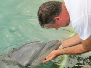 Dolphin Cove Jamaica (Kiss from a Dolphin @ Dolphin Cove In Jamaica, Dec 10. 2012)