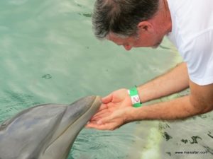 Dolphin Cove Jamaica (Kiss from a Dolphin @ Dolphin Cove In Jamaica, Dec 10. 2012)