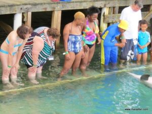 Dolphin Cove Jamaica (Kiss from a Dolphin @ Dolphin Cove In Jamaica, Dec 10. 2012)