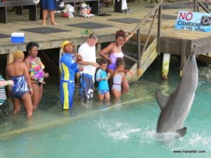 Dolphin Cove Jamaica (Kiss from a Dolphin @ Dolphin Cove In Jamaica, Dec 10. 2012)