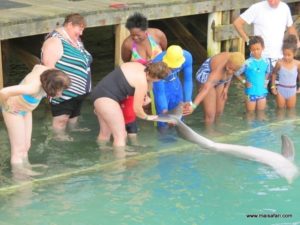 Dolphin Cove Jamaica (Kiss from a Dolphin @ Dolphin Cove In Jamaica, Dec 10. 2012)