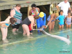 Dolphin Cove Jamaica (Kiss from a Dolphin @ Dolphin Cove In Jamaica, Dec 10. 2012)