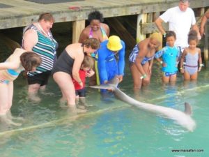Dolphin Cove Jamaica (Kiss from a Dolphin @ Dolphin Cove In Jamaica, Dec 10. 2012)