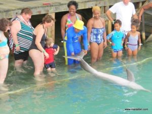 Dolphin Cove Jamaica (Kiss from a Dolphin @ Dolphin Cove In Jamaica, Dec 10. 2012)