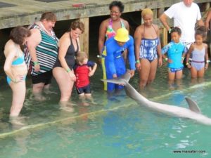 Dolphin Cove Jamaica (Kiss from a Dolphin @ Dolphin Cove In Jamaica, Dec 10. 2012)