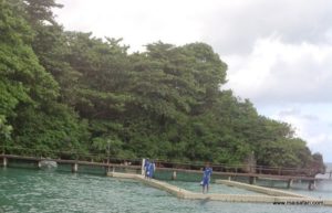 Jamaica 2012 (Arriving In Falmouth, Jamaica @ MSC Poesia Cruise Ship, Day 8. Dec, 10.2012)