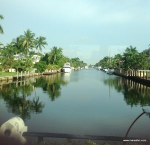 Fort Lauderdale (Everglades Air Boat @ Fort Lauderdale Florida USA Dec 11. 2012)