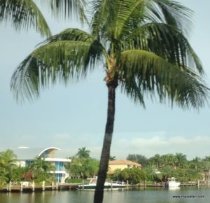 Fort Lauderdale (Everglades Air Boat @ Fort Lauderdale Florida USA Dec 11. 2012)
