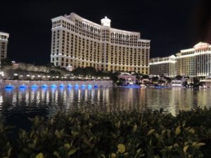 DSCN4719 (Las Vegas Nevada, USA-Our around the world trip Nov-Dec 2013-Day 2)