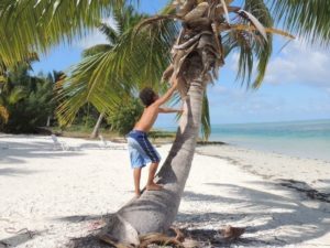 DSCN4965 (Aitutaki, Cook Islands-Our around the world trip Nov-Dec 2013)