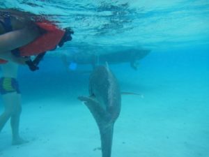 P1050604 (One foot Island, Aitutaki-Our around the world trip Nov-Dec 2013-Part I)