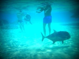 P1050607 (One foot Island, Aitutaki-Our around the world trip Nov-Dec 2013-Part I)