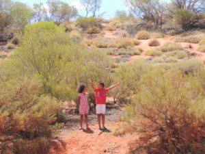 DSCN5209 (Ayers Rock, Australia-Our around the world trip Nov-Dec 2013)