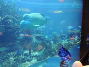 DSCN7218 (At Burj Al Arab hotel-Celebrate our 10th wedding anniversary-2014)