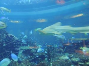 DSCN7246 (At Burj Al Arab hotel-Celebrate our 10th wedding anniversary-2014)